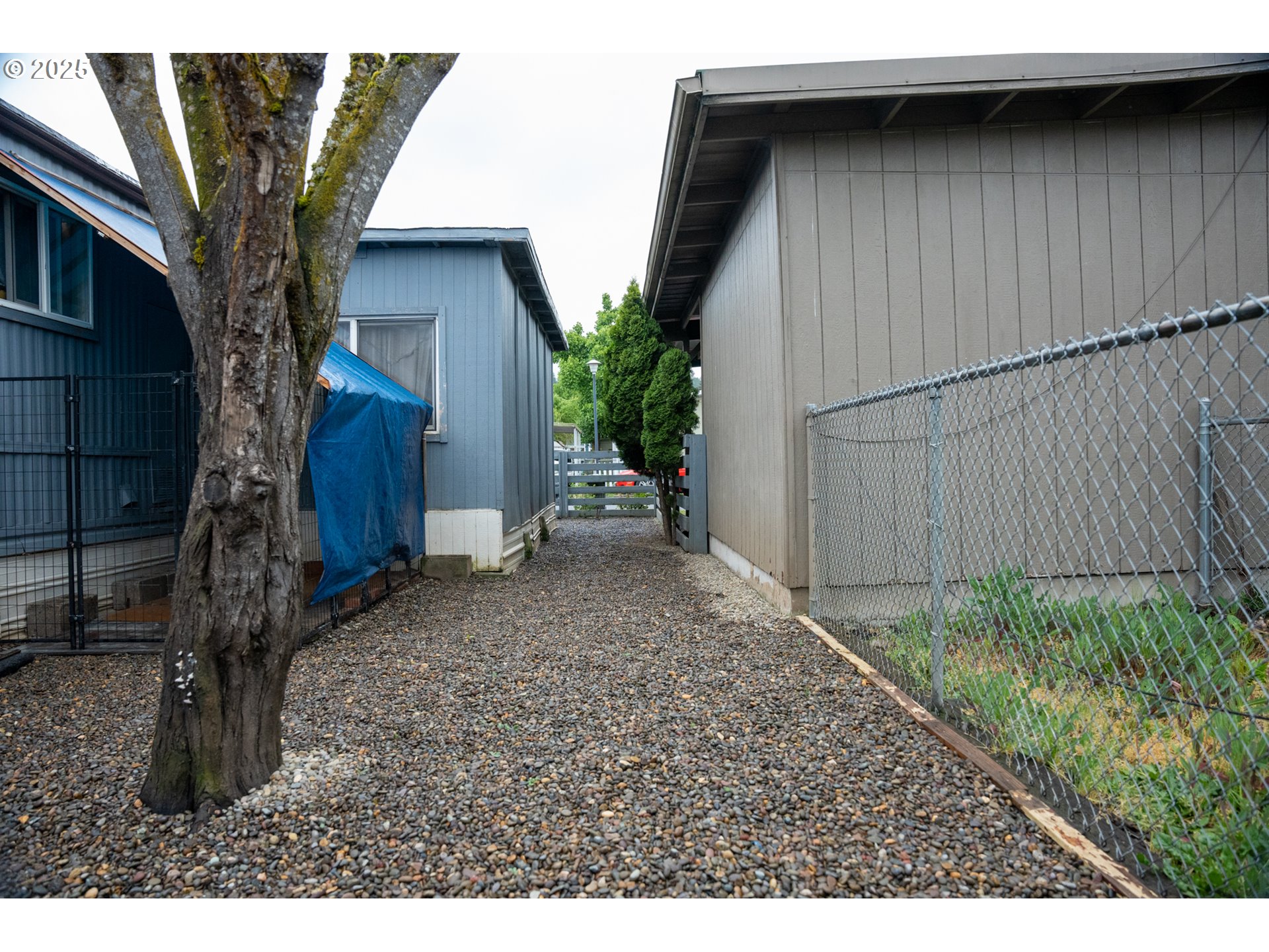 5335 Daisy Street, Unit TL 0130 Springfield, OR 97478 - Photo 12 of 17 a backyard of a house