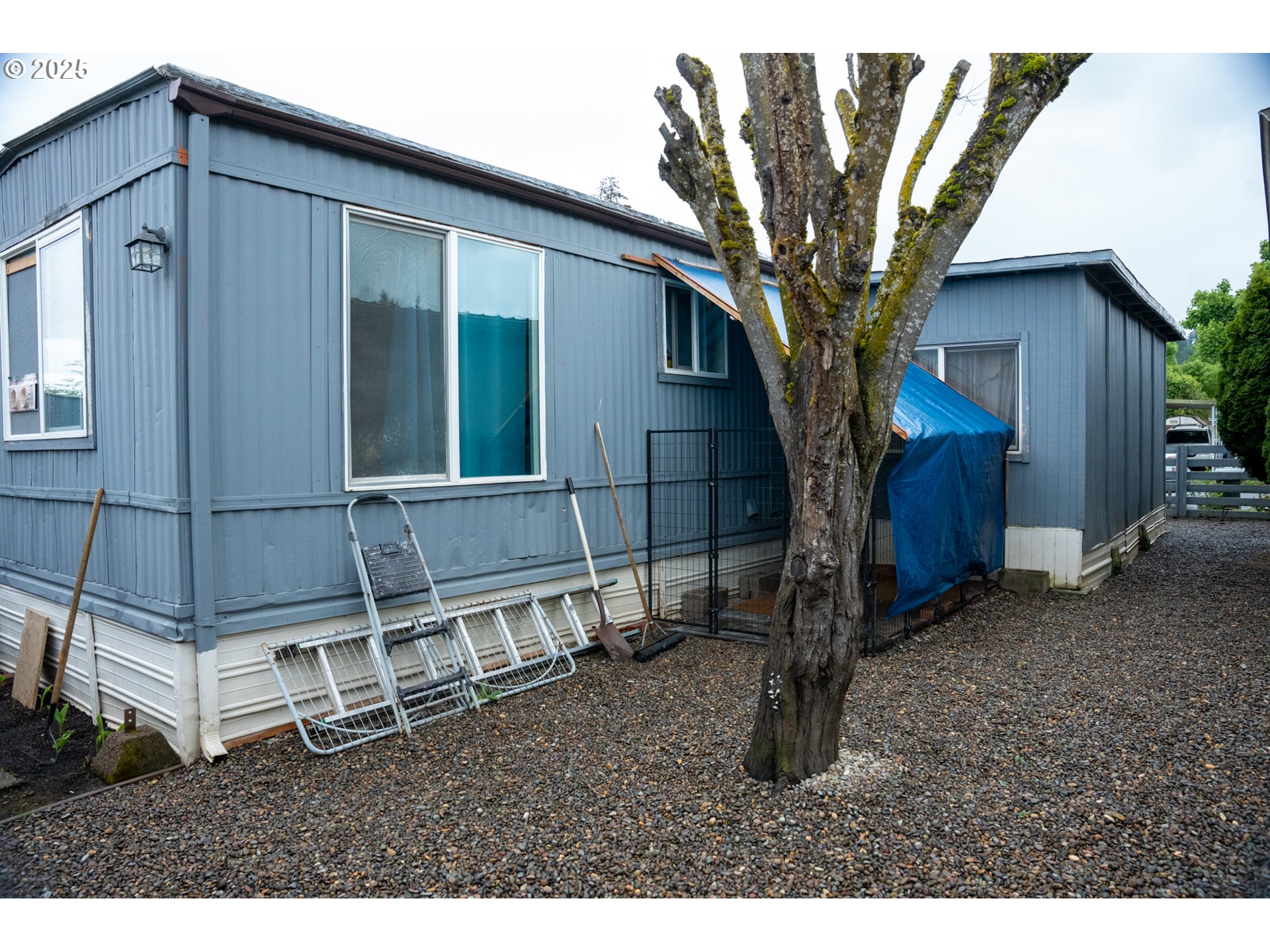 5335 Daisy Street, Unit TL 0130 Springfield, OR 97478 - Photo 3 of 17 a view of backyard with a large tree