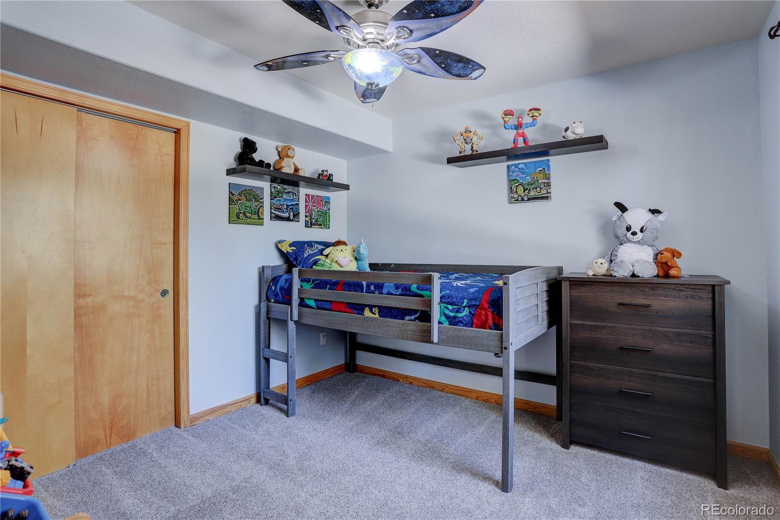 155 Sunny Ridge Lane Bailey, CO 80421 - Photo 28 of 34 Gallery Image 28