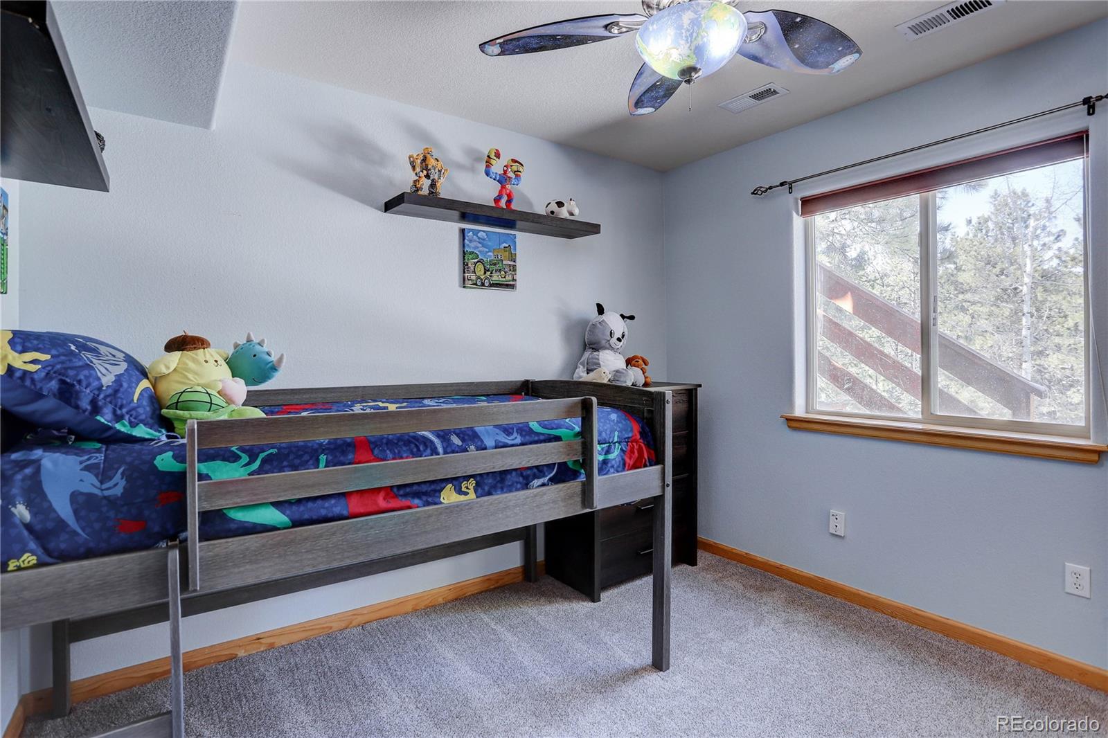 155 Sunny Ridge Lane Bailey, CO 80421 - Photo 29 of 34 Gallery Image 29