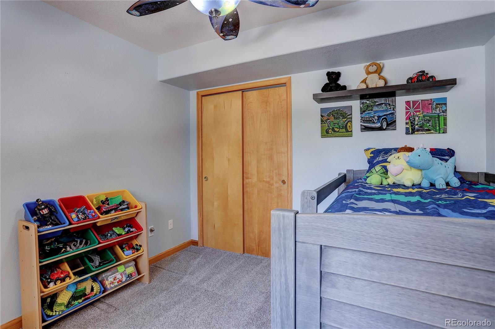 155 Sunny Ridge Lane Bailey, CO 80421 - Photo 30 of 34 Gallery Image 30