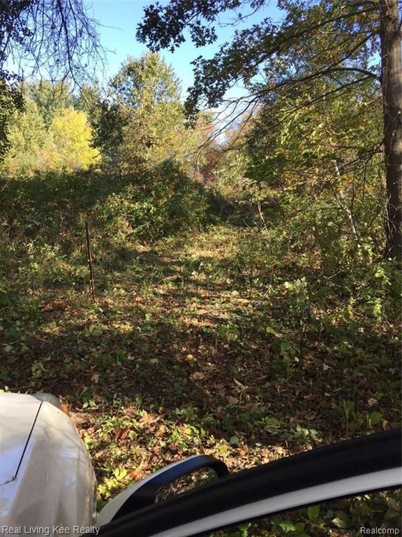 0 General Squier Road Dryden, MI 48428 - Photo 2 of 2