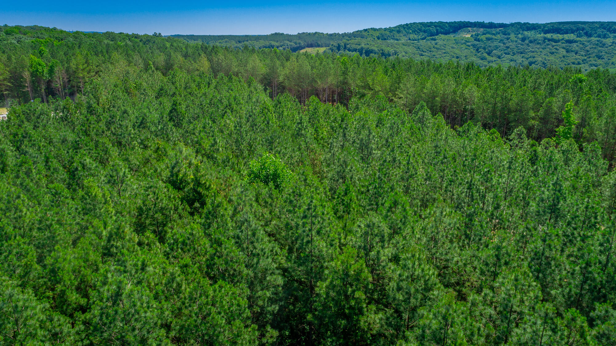 0 Split Rail Way, Unit LOT 1163 Guild, TN 37340 - Photo 71 of 118 River Gorge Lot 1163 HD-77