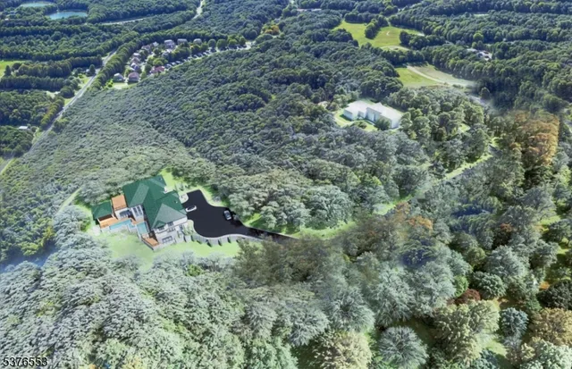 a view of a tree with a yard