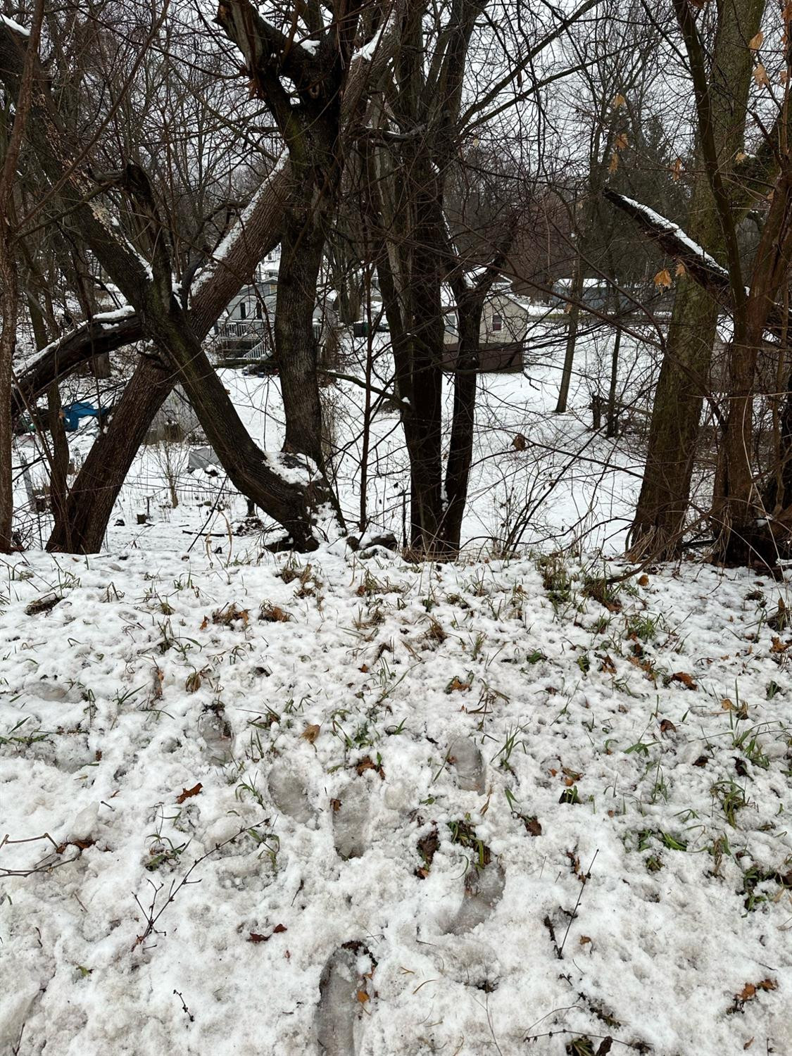 a view of a yard covered with snow