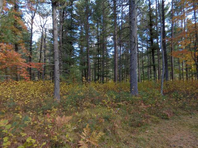 Lot 14 Wilderness Cir Street Sayner, WI 54560 - Photo 3 of 9