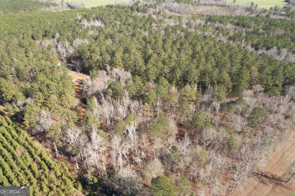 675 Jackson Road Wrightsville, GA 31096 - Photo 1 of 13