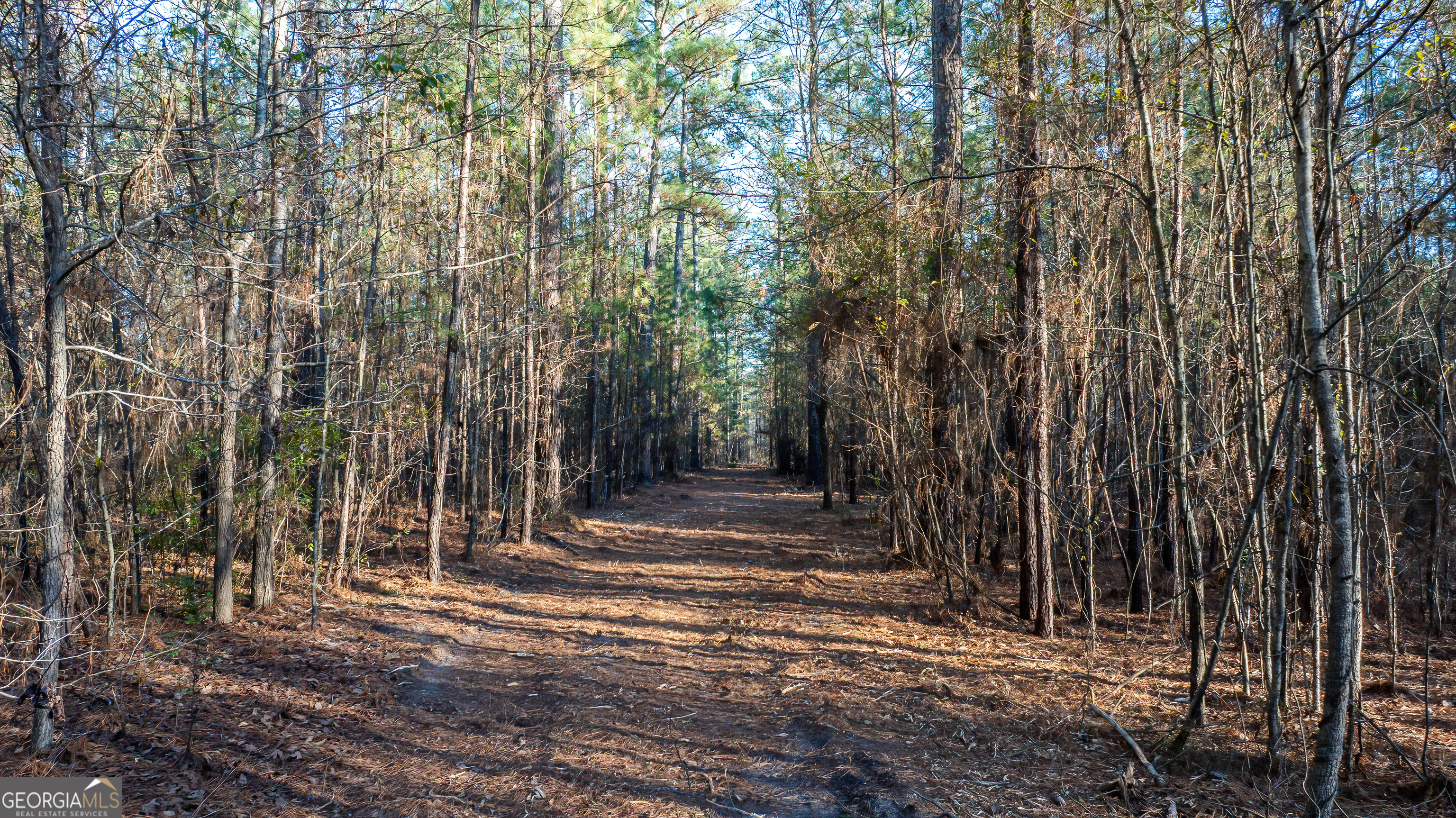 675 Jackson Road Wrightsville, GA 31096 - Photo 11 of 16
