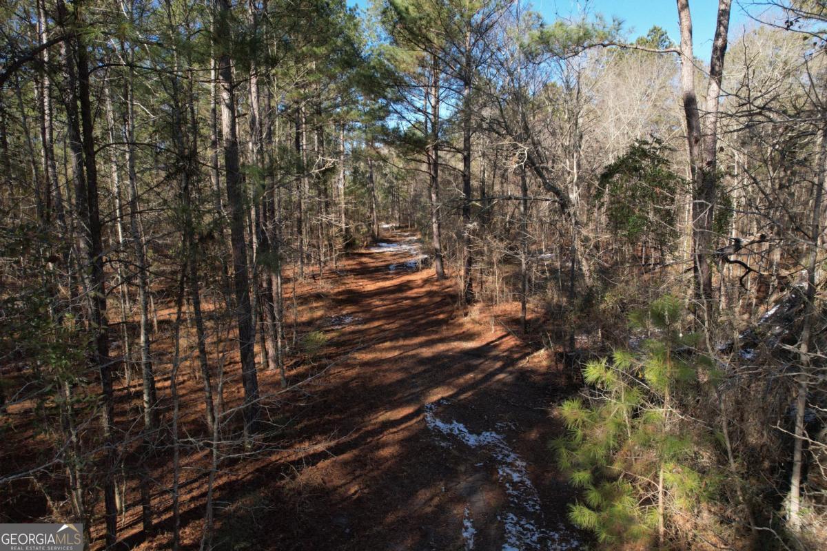 675 Jackson Road Wrightsville, GA 31096 - Photo 11 of 13