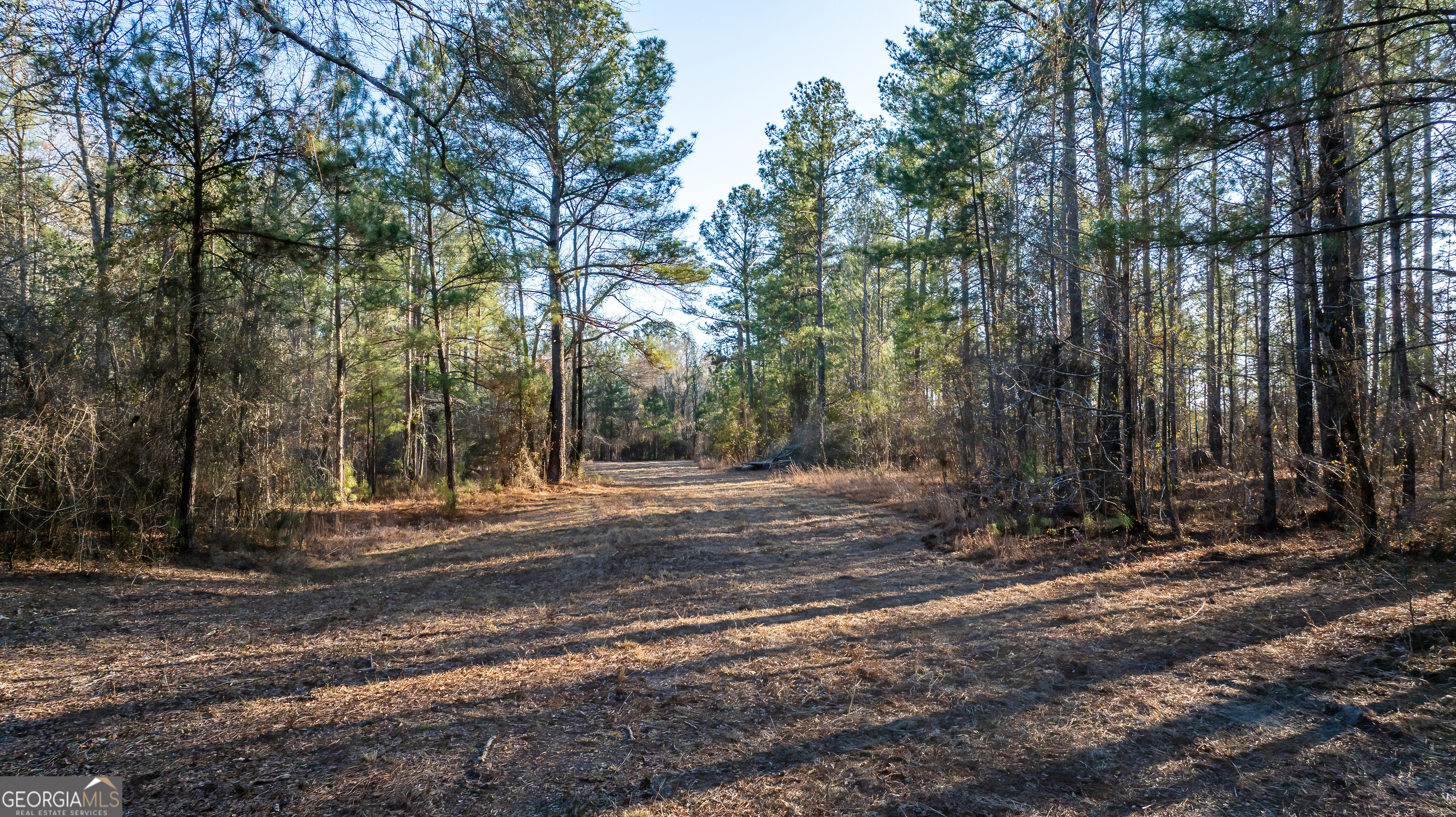 675 Jackson Road Wrightsville, GA 31096 - Photo 13 of 16