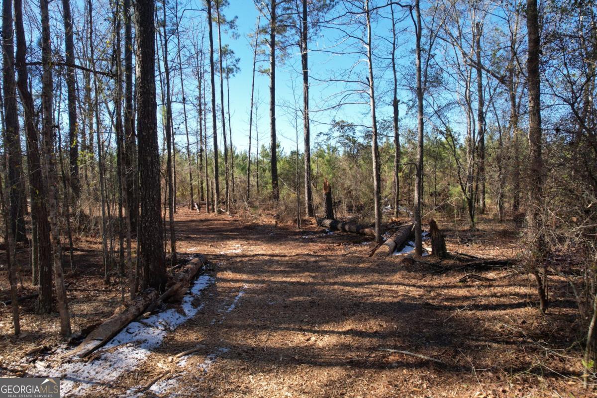 675 Jackson Road Wrightsville, GA 31096 - Photo 13 of 13