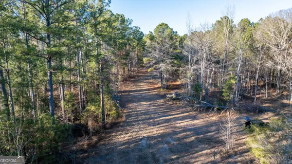 a view of a pathway of a park