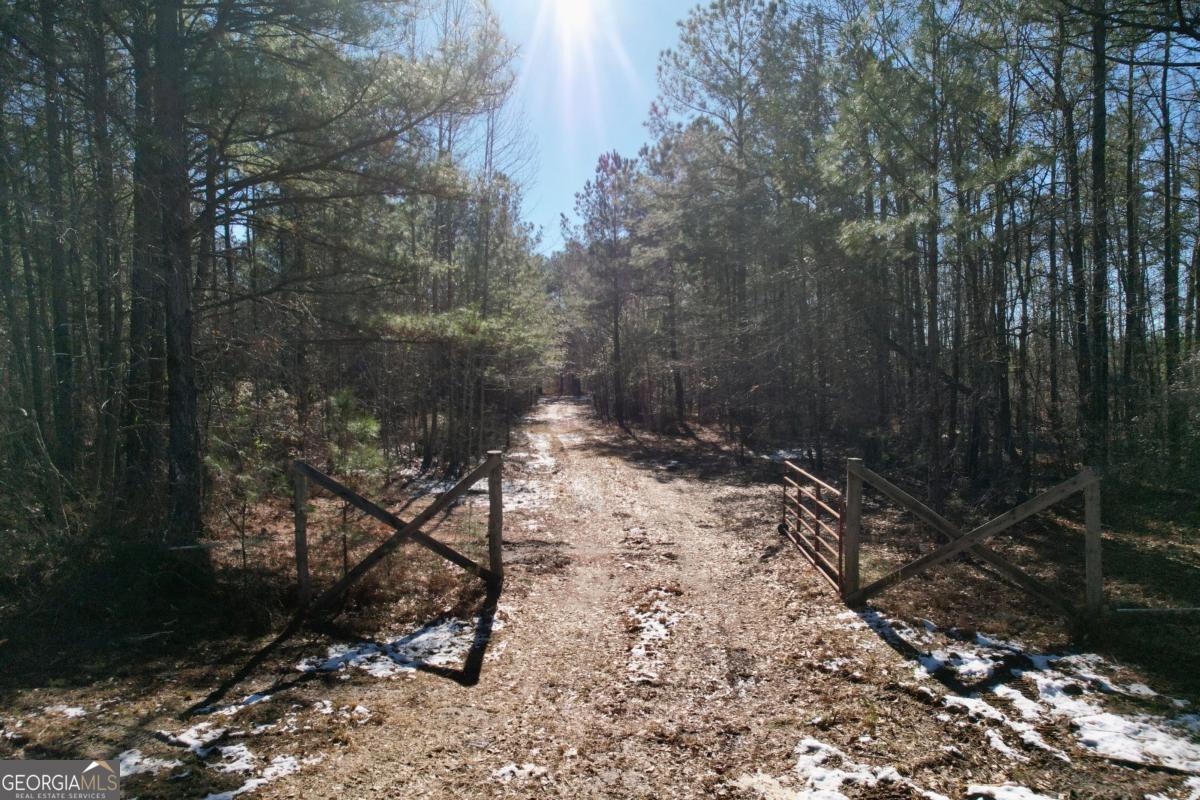 675 Jackson Road Wrightsville, GA 31096 - Photo 2 of 13