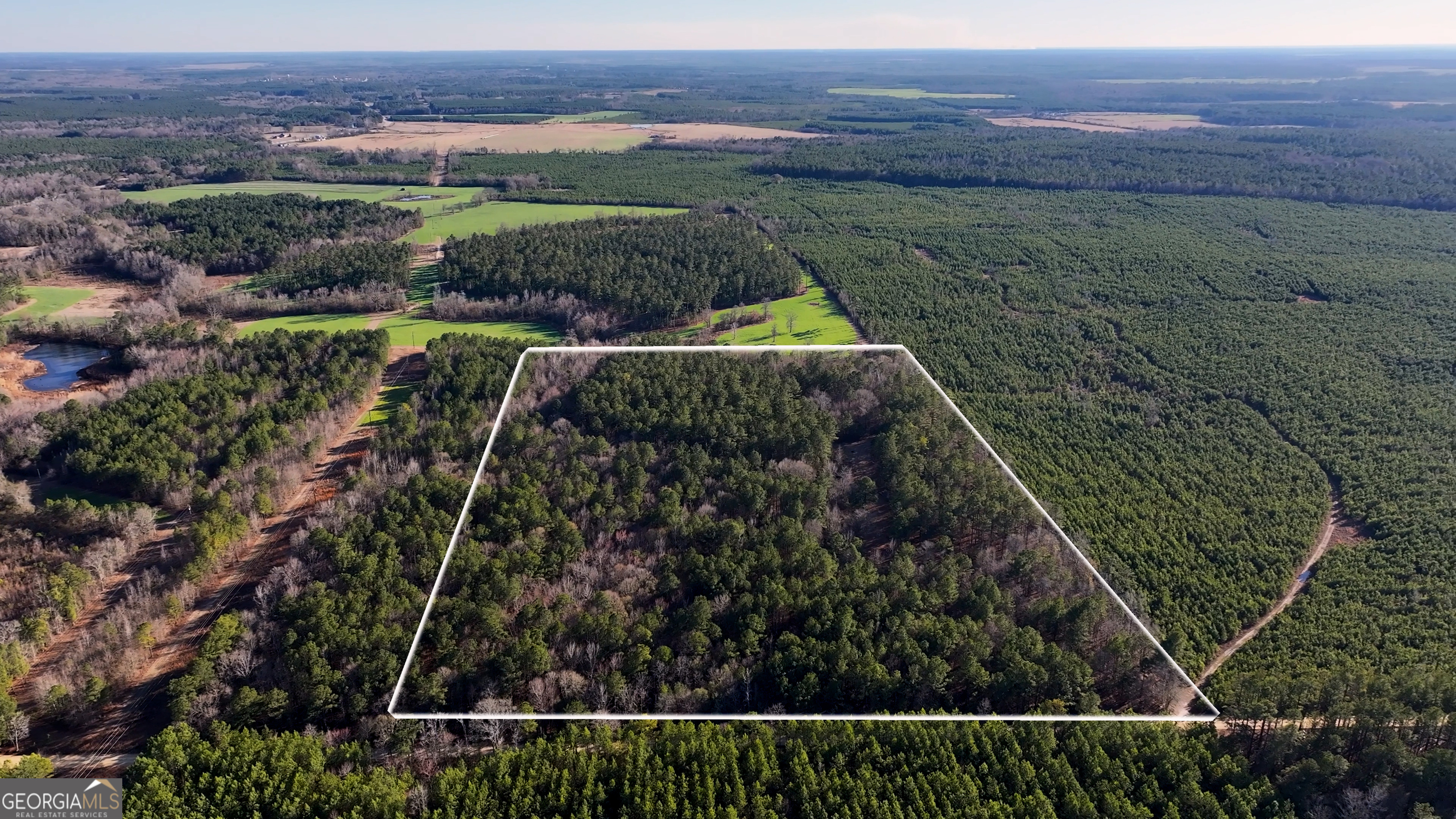 675 Jackson Road Wrightsville, GA 31096 - Photo 2 of 16
