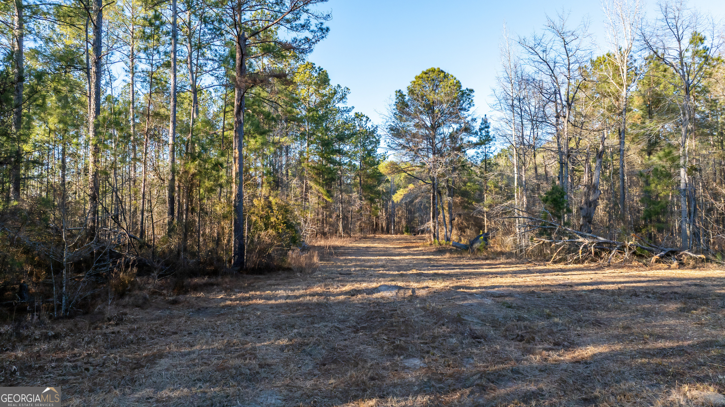 675 Jackson Road Wrightsville, GA 31096 - Photo 4 of 16