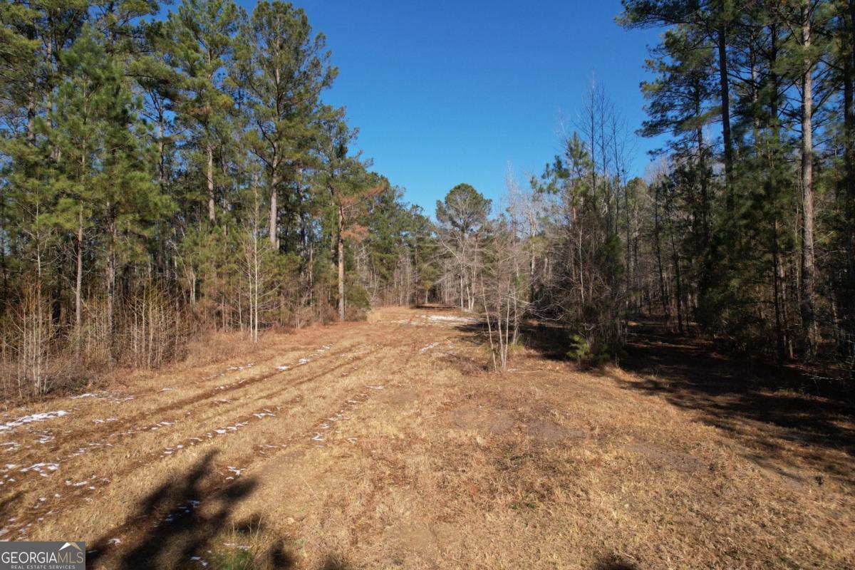 675 Jackson Road Wrightsville, GA 31096 - Photo 4 of 13