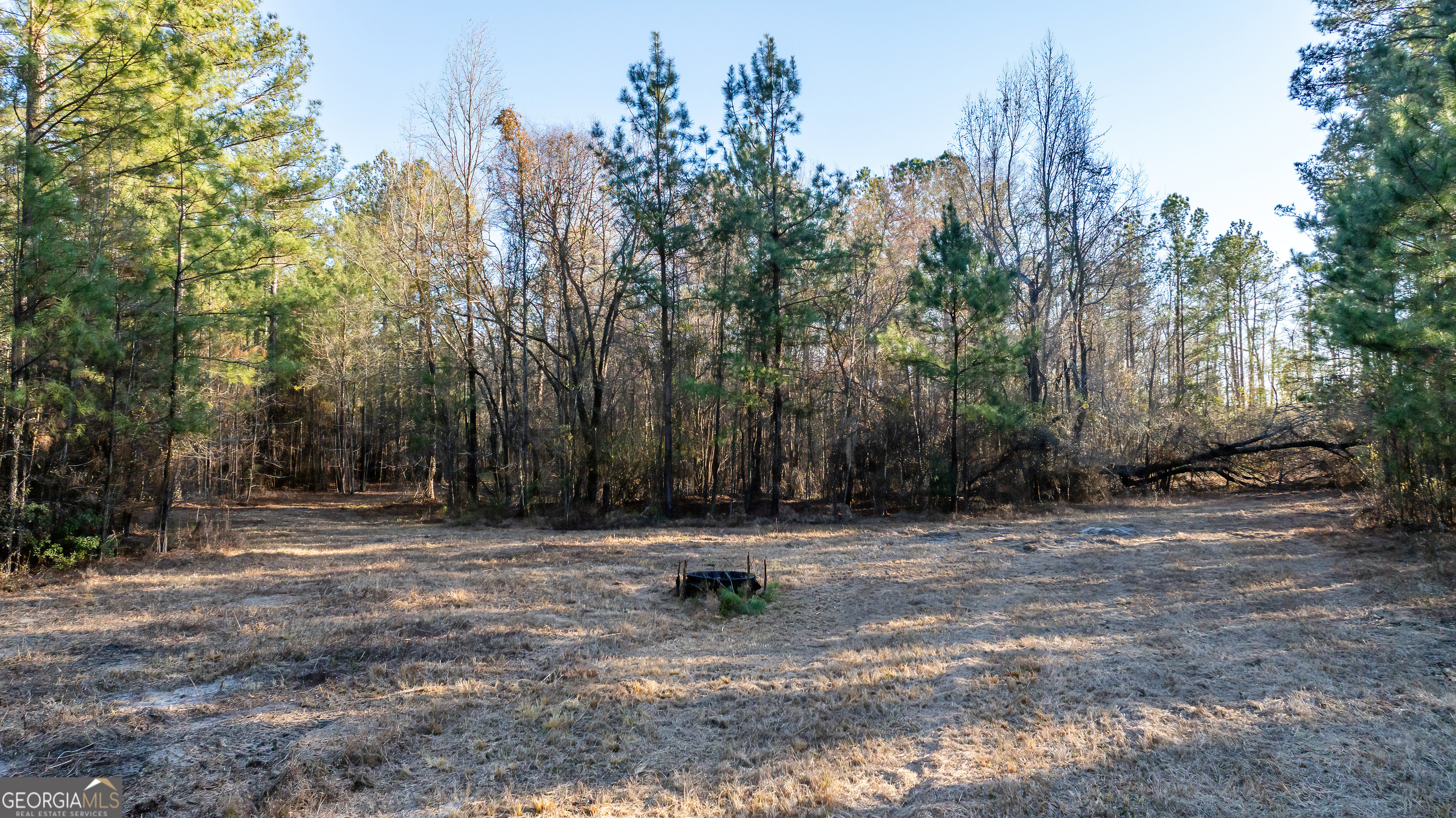 675 Jackson Road Wrightsville, GA 31096 - Photo 5 of 16