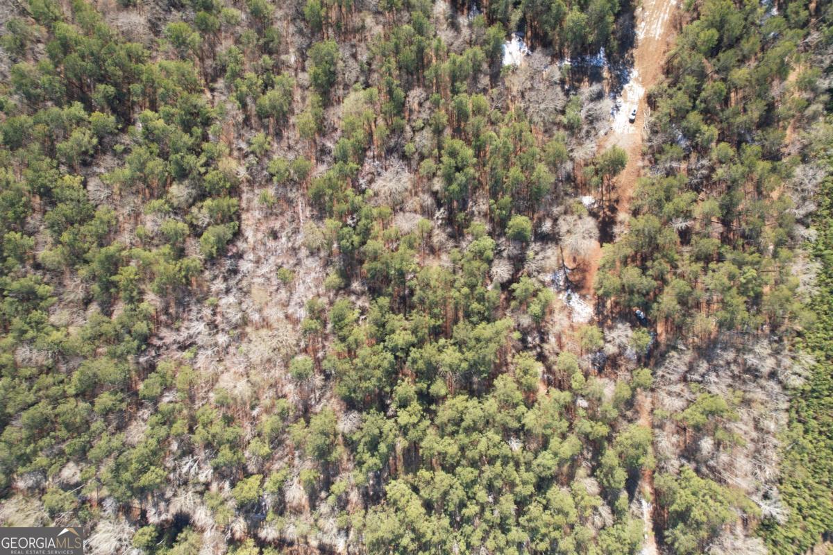 675 Jackson Road Wrightsville, GA 31096 - Photo 5 of 13