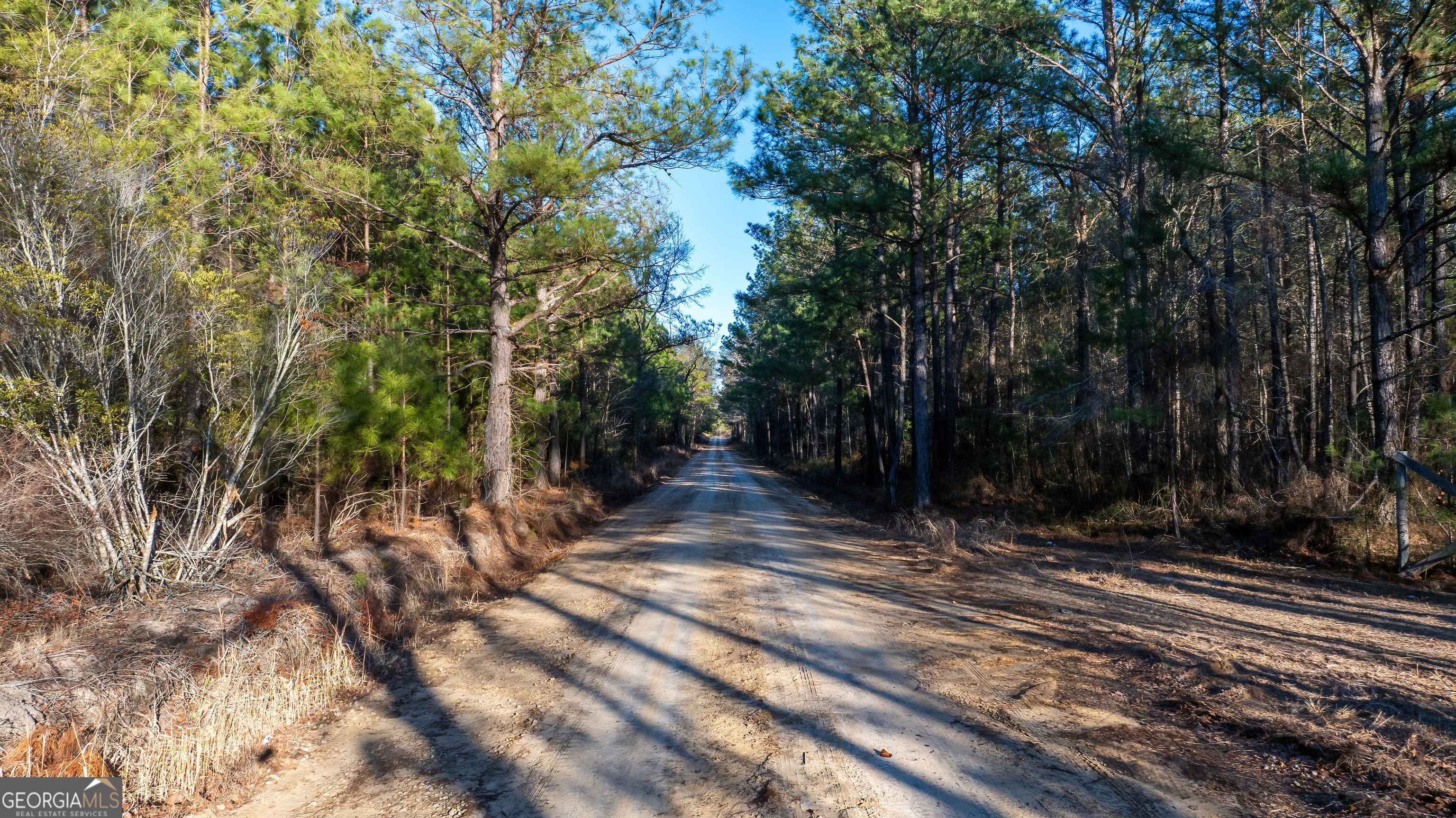 675 Jackson Road Wrightsville, GA 31096 - Photo 6 of 16