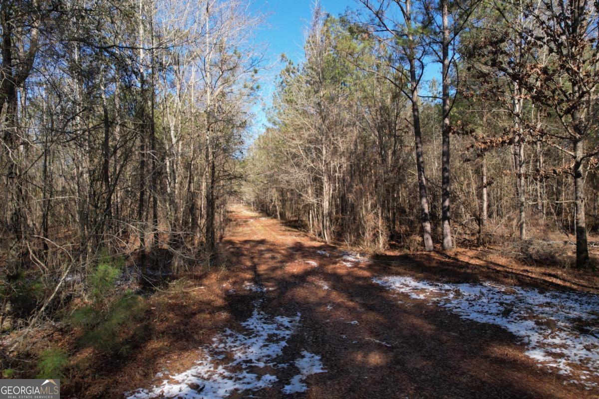 675 Jackson Road Wrightsville, GA 31096 - Photo 6 of 13