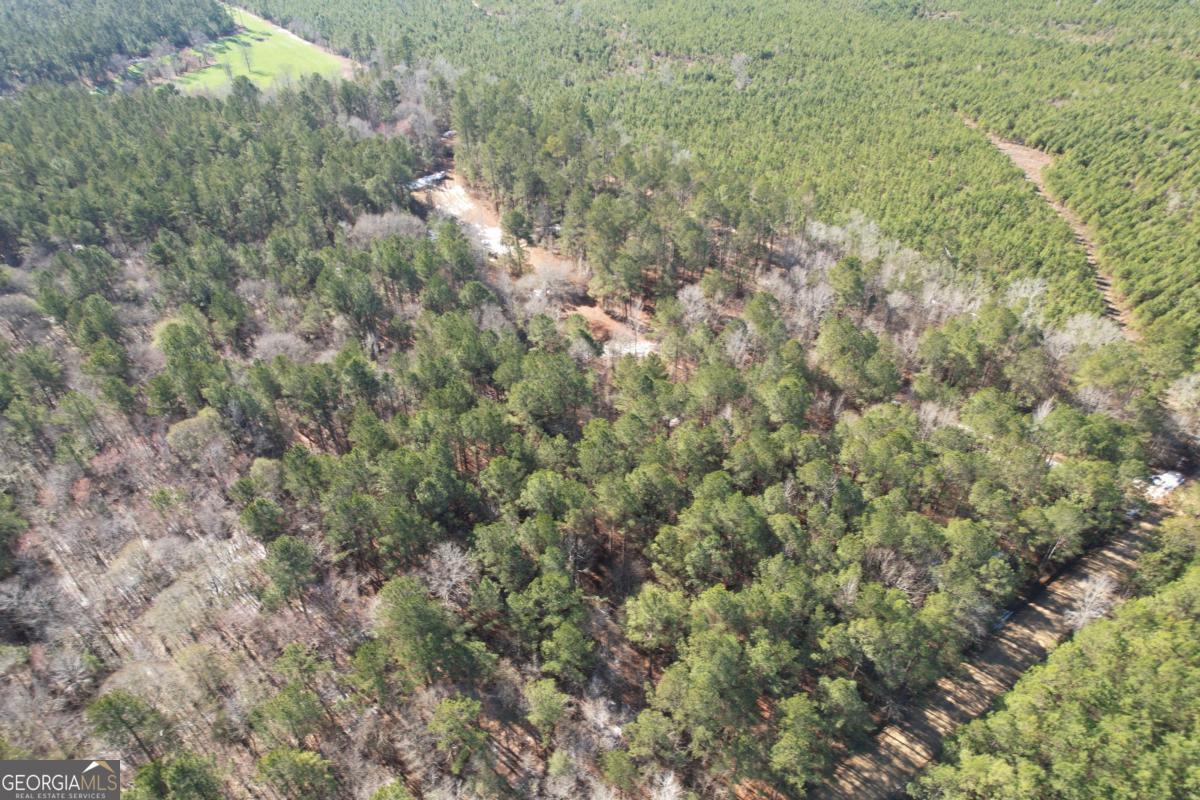 675 Jackson Road Wrightsville, GA 31096 - Photo 8 of 13