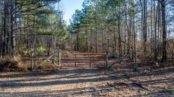 a view of a yard with large trees