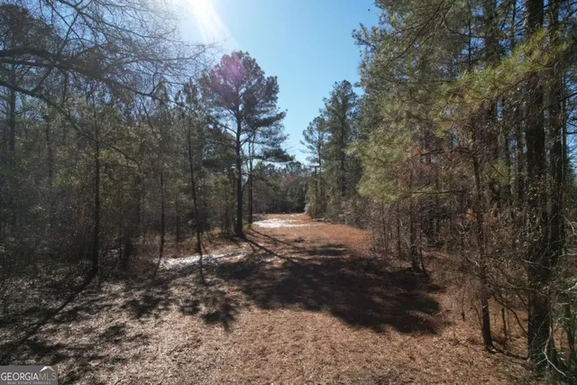 $139,900 | 675 Jackson Road, Wrightsville, GA 31096