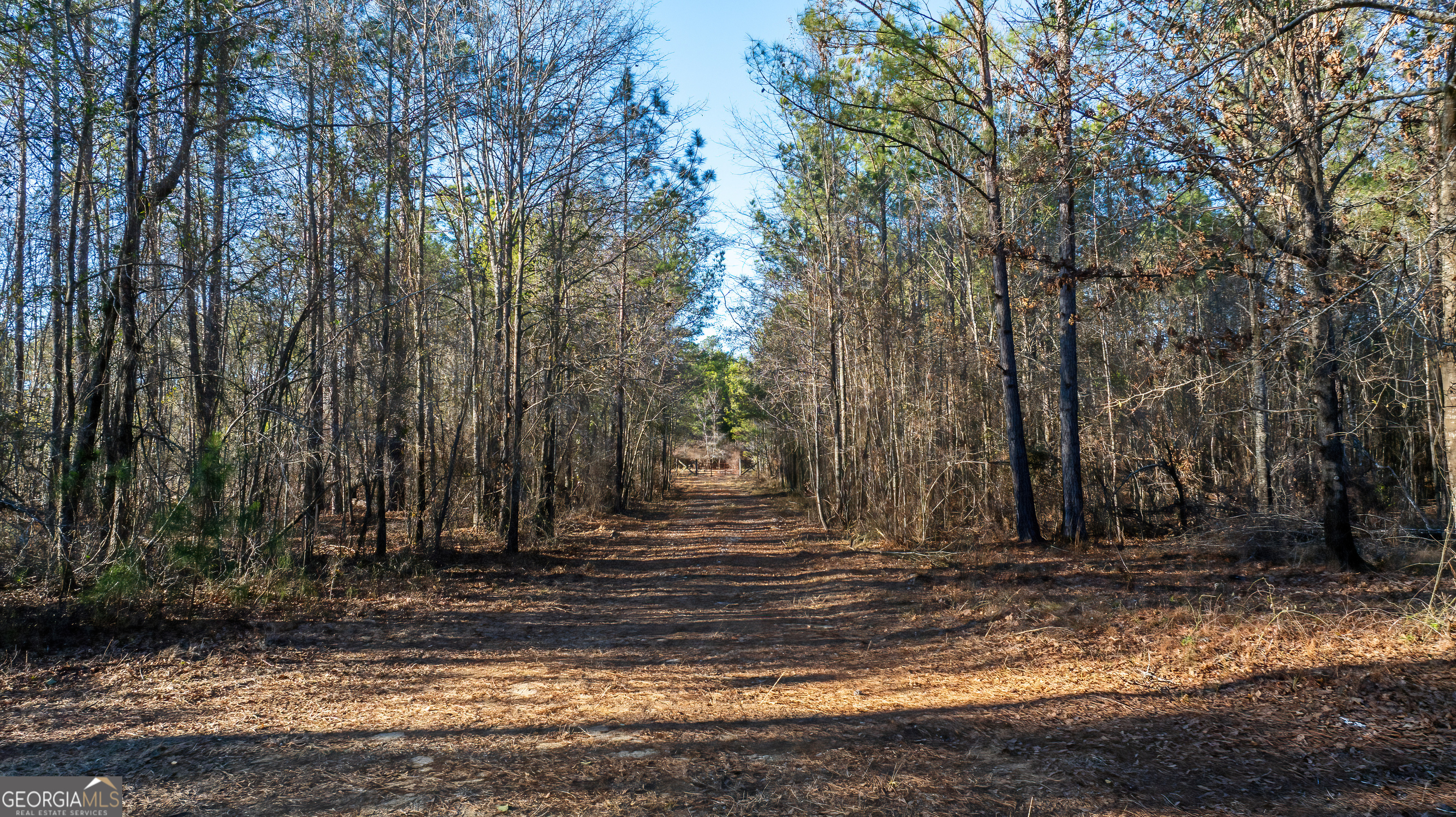 675 Jackson Road Wrightsville, GA 31096 - Photo 9 of 16