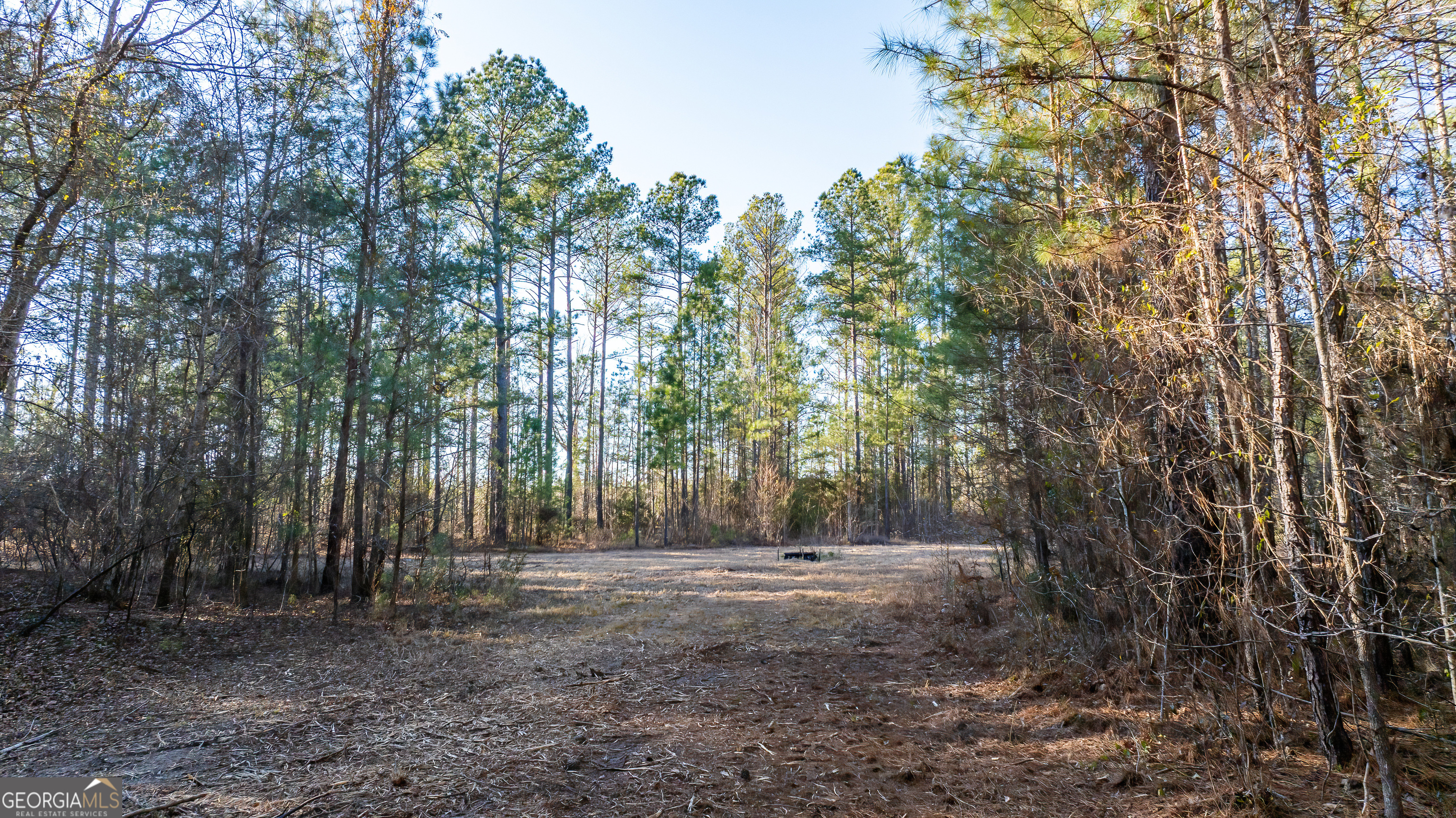 675 Jackson Road Wrightsville, GA 31096 - Photo 10 of 16