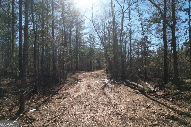 $139,900 | 675 Jackson Road, Wrightsville, GA 31096