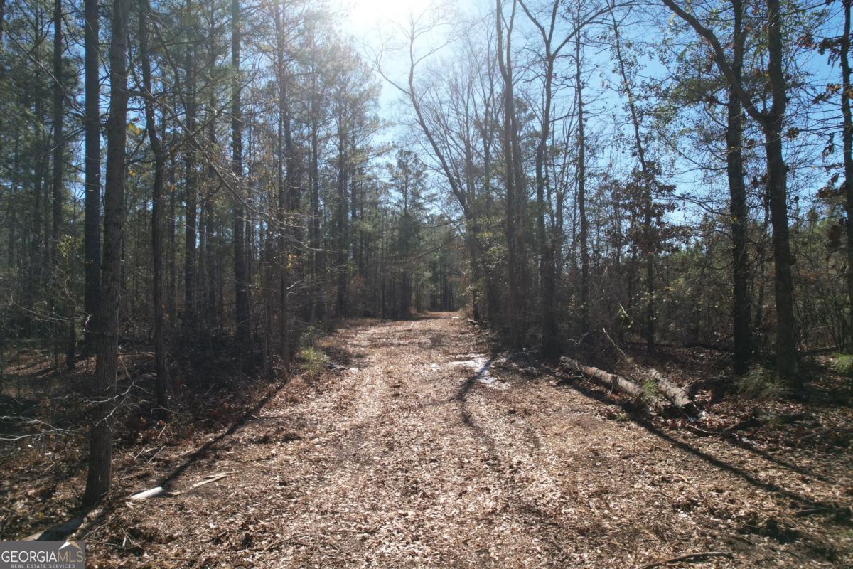 675 Jackson Road Wrightsville, GA 31096 - Photo 10 of 13