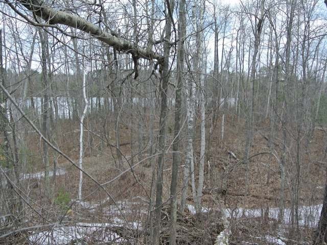 On Back Bay Road Minocqua, WI 54548 - Photo 6 of 15 Gallery Image 6