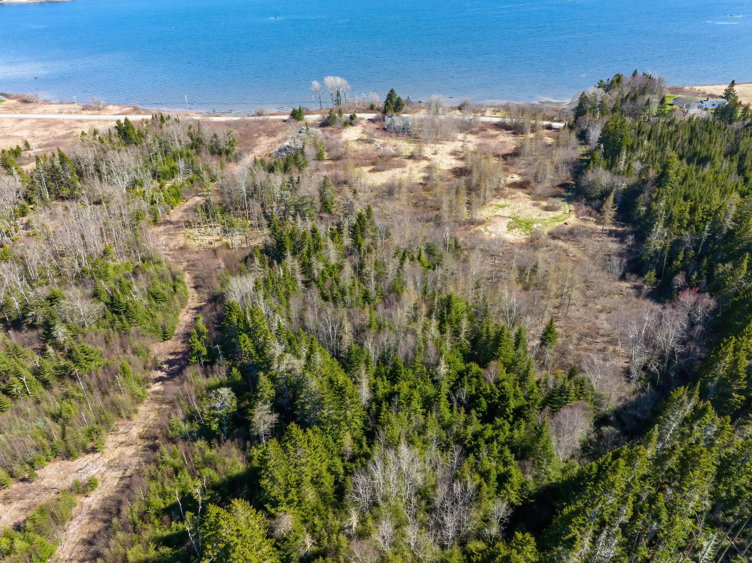 1082 Cutler Road Whiting, ME 04691 - Photo 12 of 36 19-1082 Cutler Road HiRes-DTP
