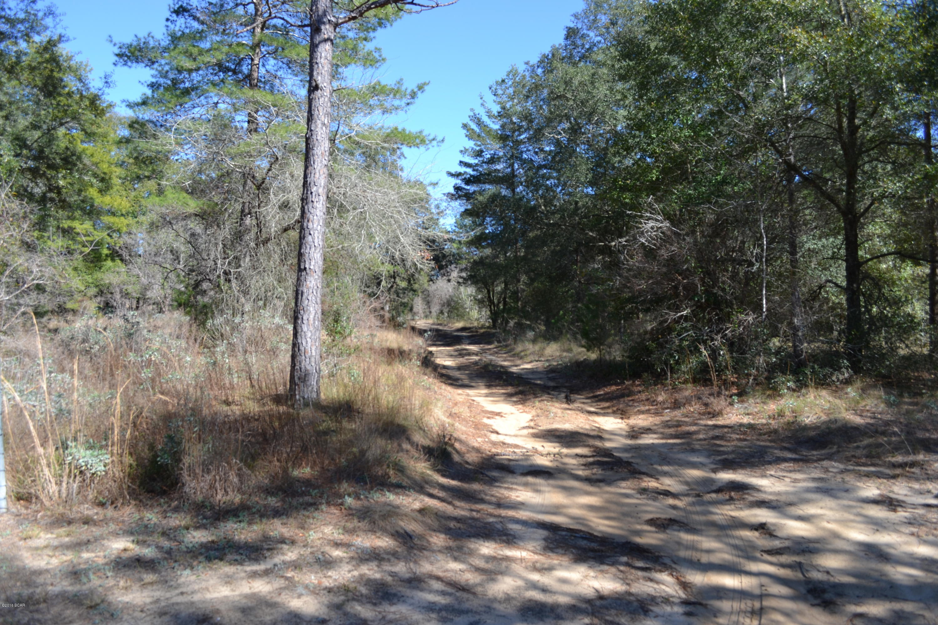 4426 Moss Hill Road Chipley, FL 32428 - Photo 10 of 14 Gallery Image 10