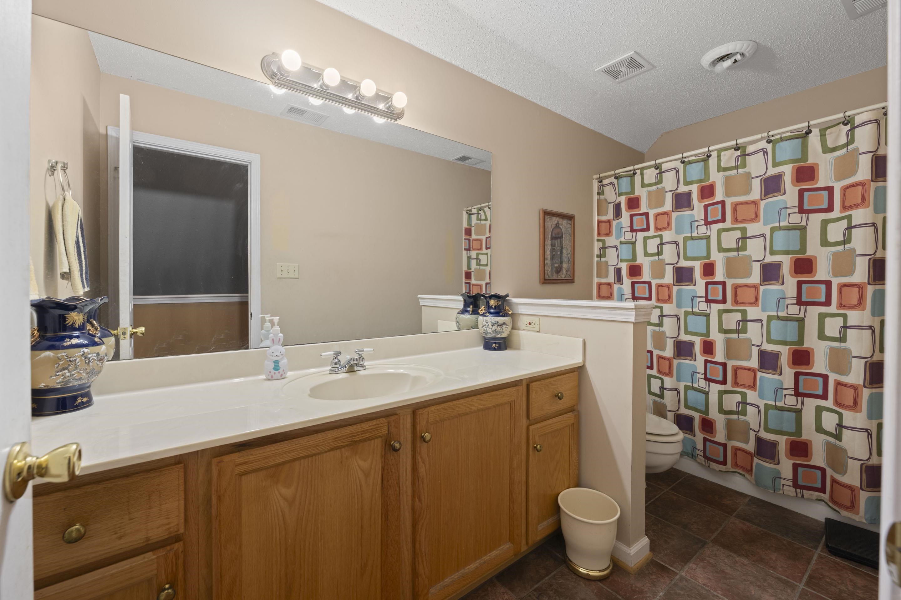 7265 Ward Road Millington, TN 38053 - Photo 17 of 29 Bathroom with vanity, a textured ceiling, and a shower with curtain