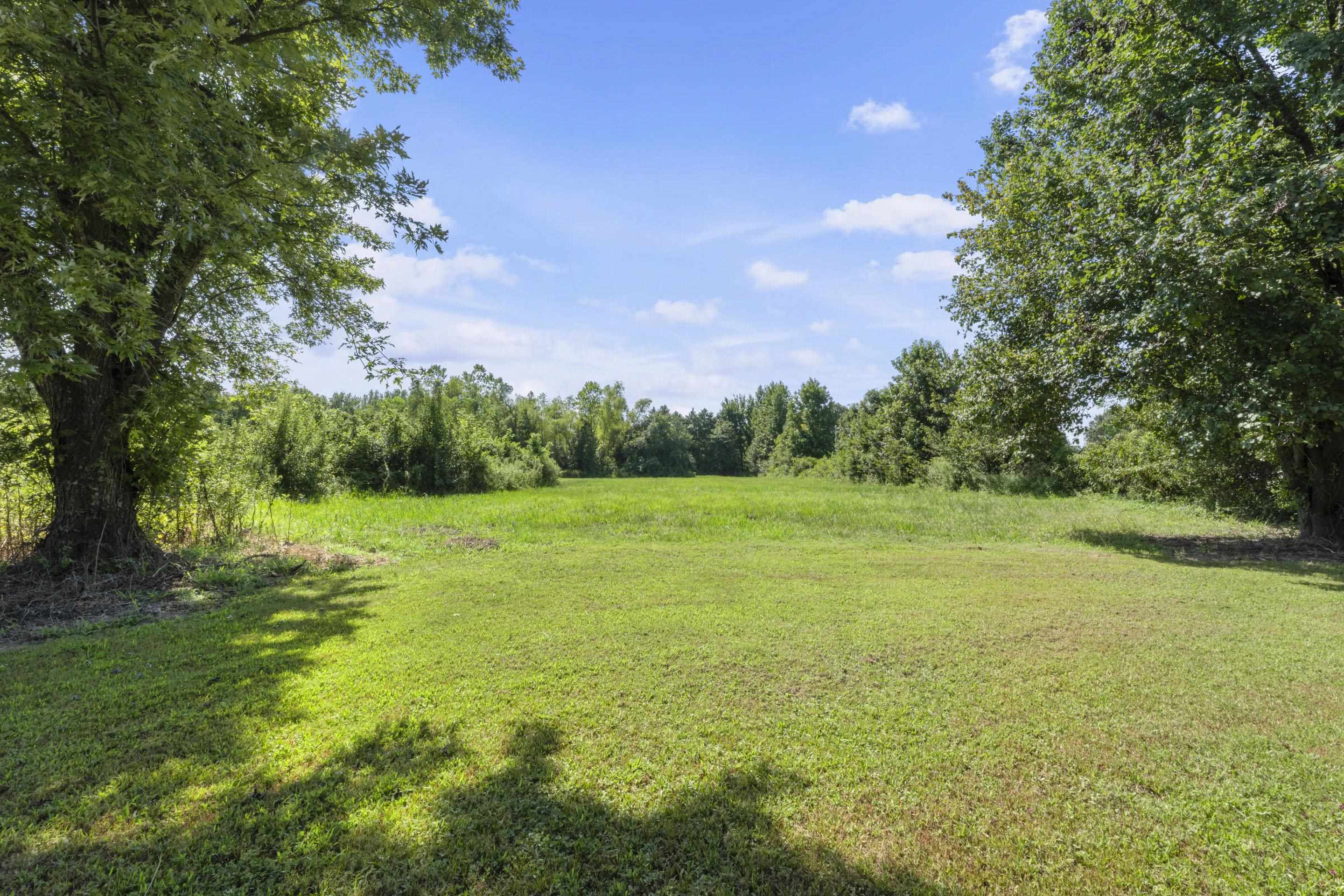 7265 Ward Road Millington, TN 38053 - Photo 28 of 29 View of green lawn