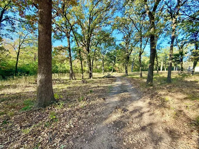 a view of outdoor space with trees