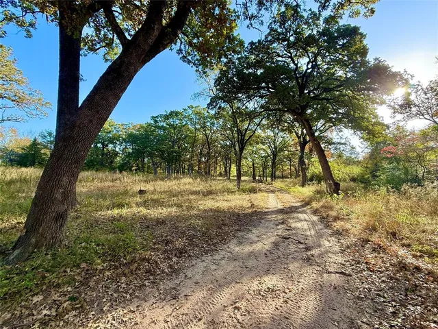 a view of dirt yard with a tree