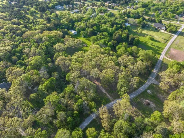 a bunch of flowers in a pot