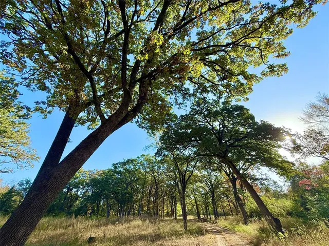 a view of yard with green space
