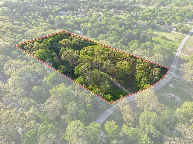 a view of a garden in a interior