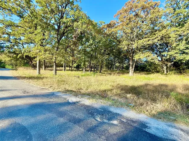 a view of a garden with a tree