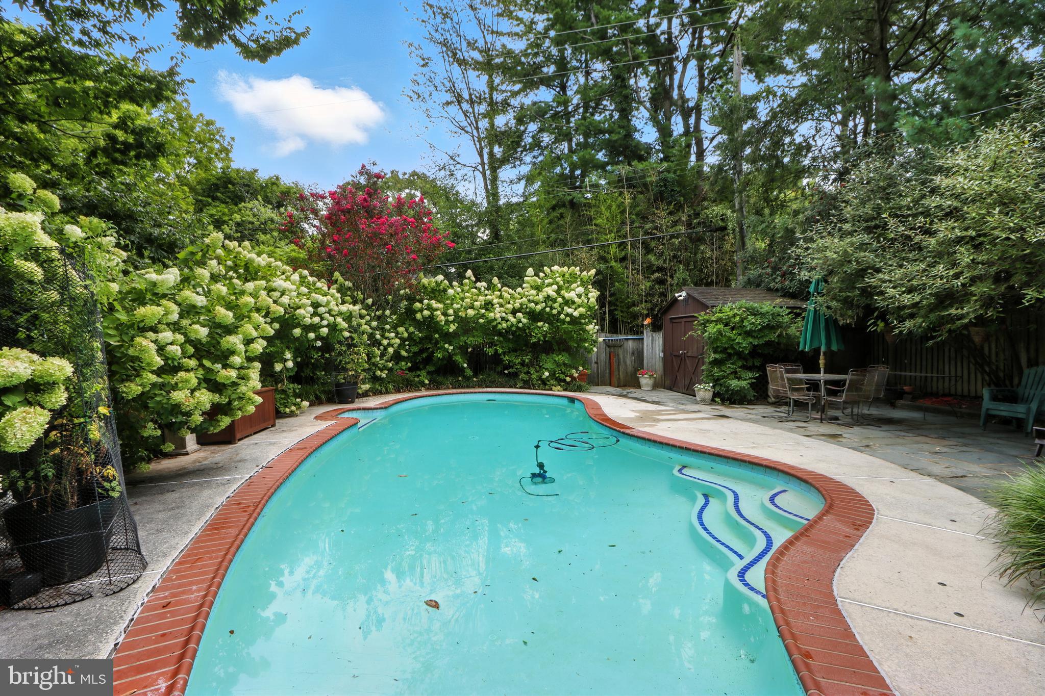 a view of a swimming pool with lounge chair