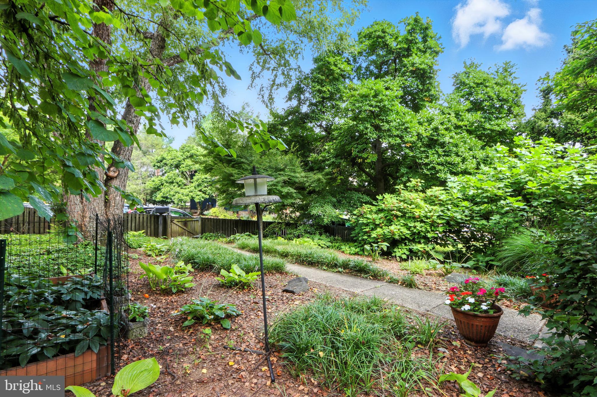 5721 Ridgedale Road Baltimore, MD 21209 - Photo 17 of 54 a view of a plants in backyard of a house