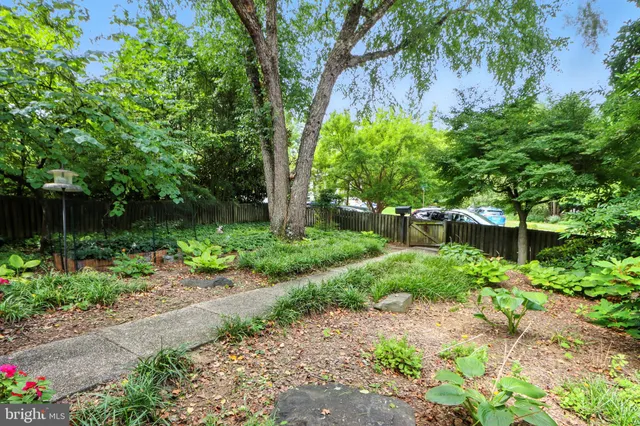 a view of a garden with a tree