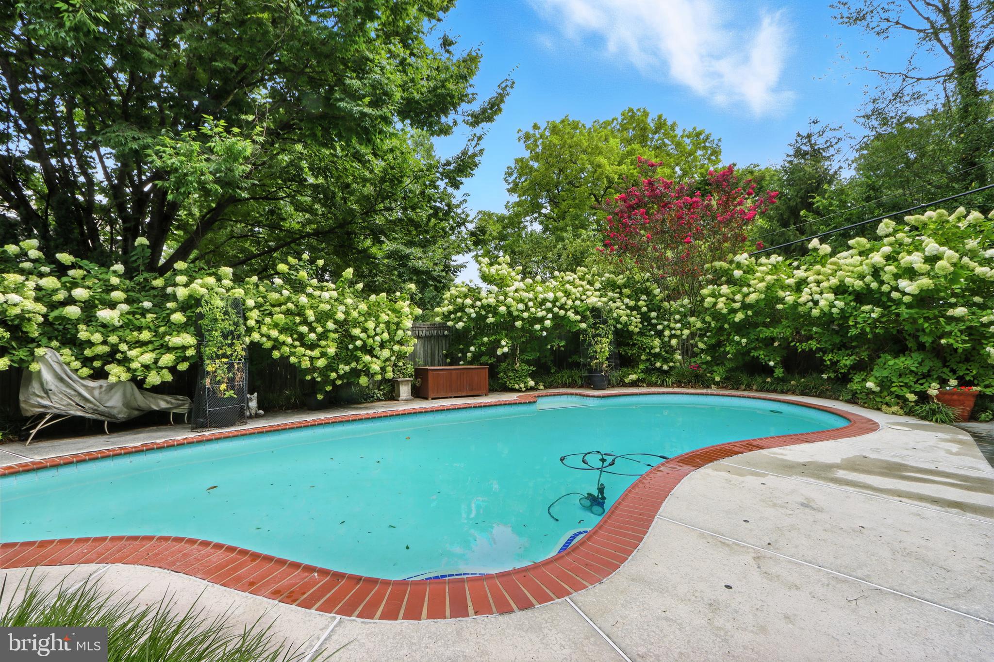 5721 Ridgedale Road Baltimore, MD 21209 - Photo 3 of 54 a view of a swimming pool with a yard and plants