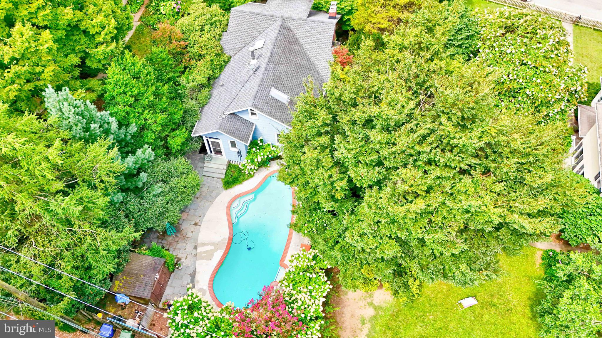5721 Ridgedale Road Baltimore, MD 21209 - Photo 8 of 54 a view of a garden with plants