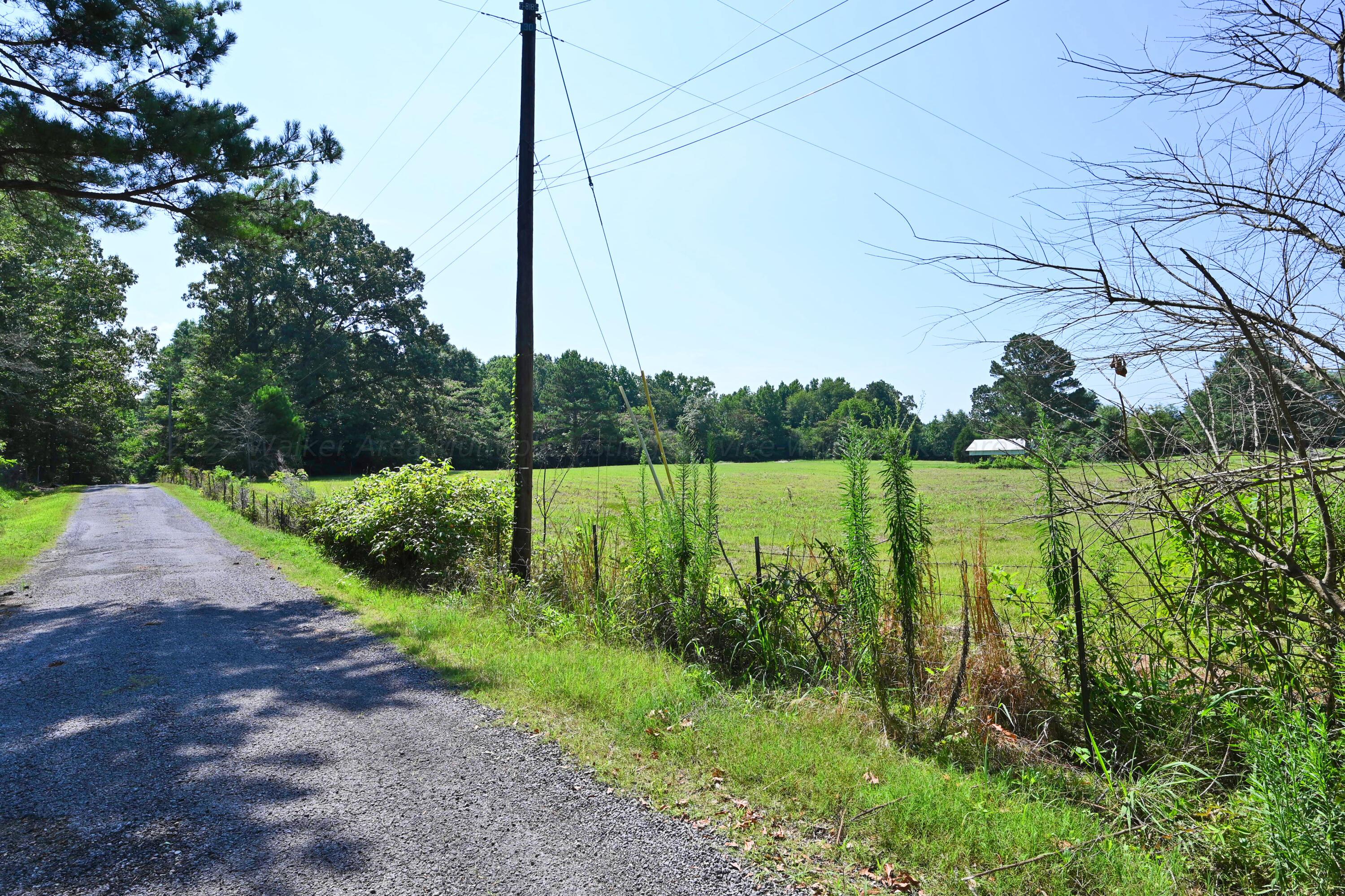 15 Zelles Road Jasper, AL 35503 - Photo 1 of 18 Gallery Image 1