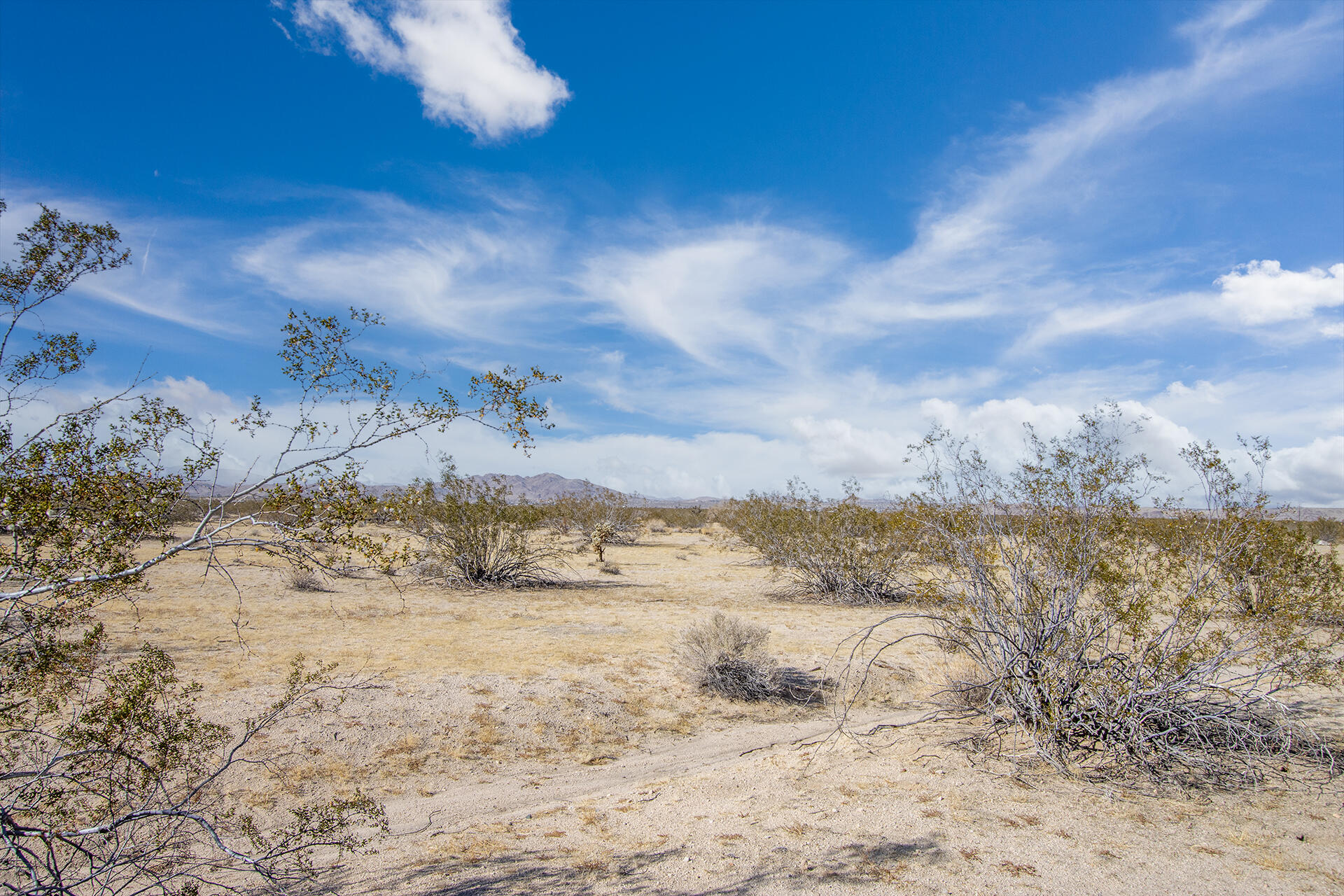 144 Sunfair Road Joshua Tree, CA 92252 - Photo 8 of 20 a view of beach and snow