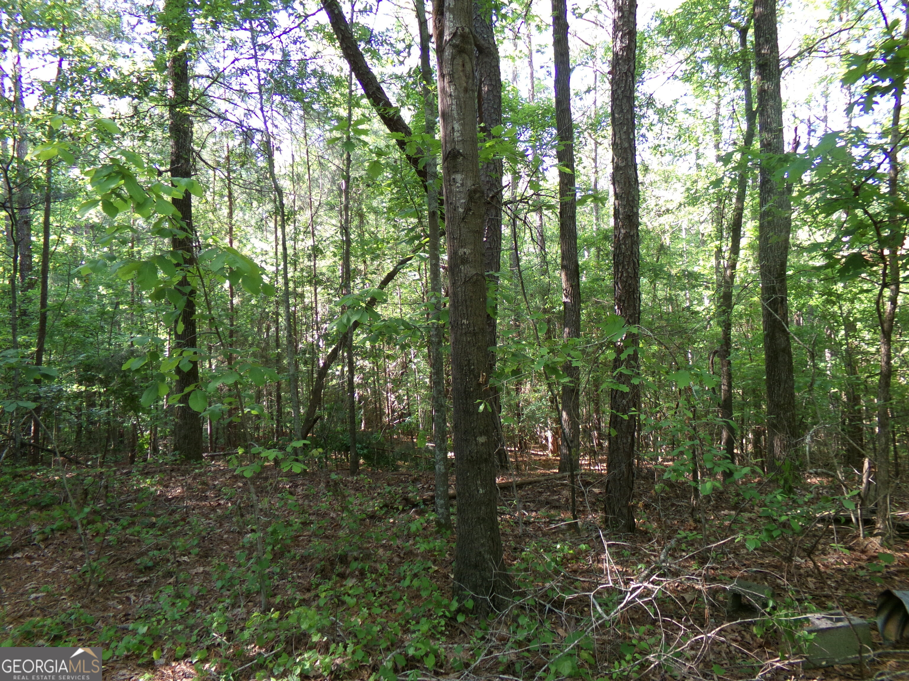 3905 Highway 138 Covington, GA 30014 - Photo 13 of 40